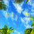 SKY_15.jpg