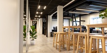 20190627_SplayOne-16.jpg