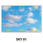 SKY 01.jpg