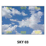 SKY 03.jpg