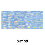 SKY 39.jpg