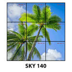 SKY 140.jpg