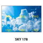 SKY 178.jpg