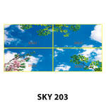 SKY 203.jpg