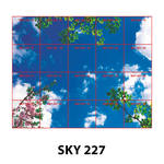 SKY 227.jpg