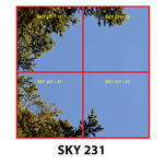 SKY 231.jpg