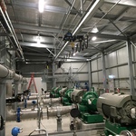 EGE_Beenjup AWRP_07.JPG