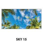 SKY 15.jpg