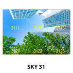 SKY 31.jpg