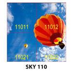 SKY 110.jpg