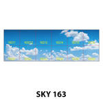 SKY 163.jpg