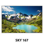 SKY 167.jpg