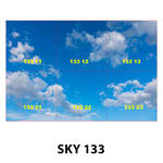 SKY 133.jpg