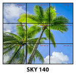 SKY 140.jpg
