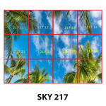 SKY 217.jpg