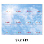 SKY 219.jpg