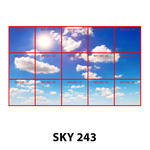 SKY 243.jpg