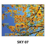 SKY 07.jpg