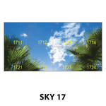 SKY 17.jpg
