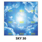SKY 30.jpg