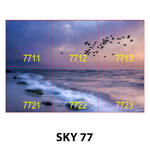 SKY 77.jpg
