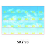 SKY 93.jpg