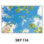 SKY 116.jpg