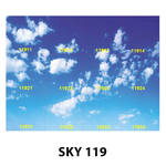 SKY 119.jpg