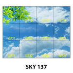SKY 137.jpg