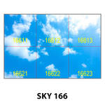 SKY 166.jpg