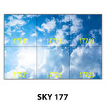 SKY 177.jpg