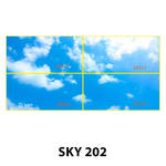SKY 202.jpg