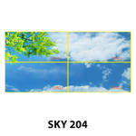 SKY 204.jpg