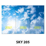 SKY 205.jpg