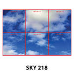 SKY 216.jpg