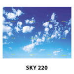 SKY 220.jpg