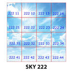 SKY 222.jpg