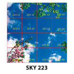SKY 223.jpg
