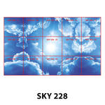 SKY 228.jpg