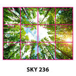 SKY 236.jpg