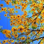 SKY 07