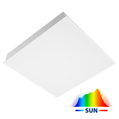MODUS IBP SUN