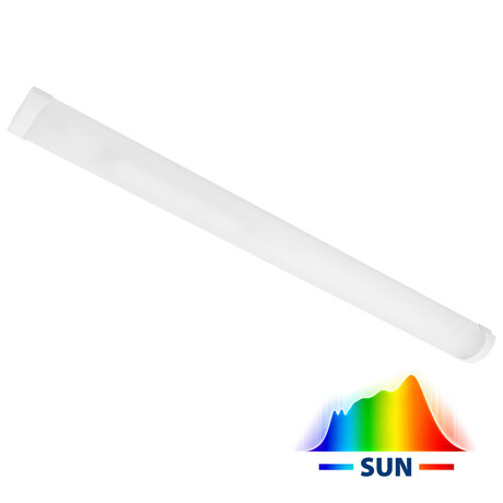 MODUS KX SUN