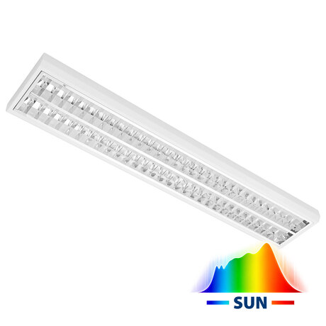 MODUS LLL SUN