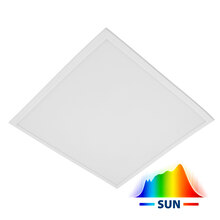 MODUS FIT SUN